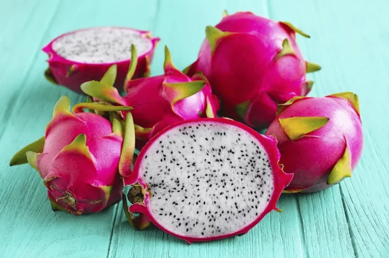 Dragon Fruit for Hamsters: Colorful, Tasty, and Nutritious or Risky Treat?