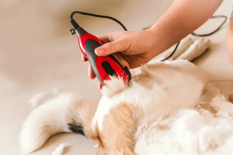 best dog clippers for doodles